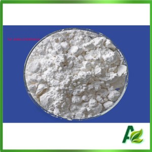 Manufacturer Feed Grade Sodium Butyrate Price